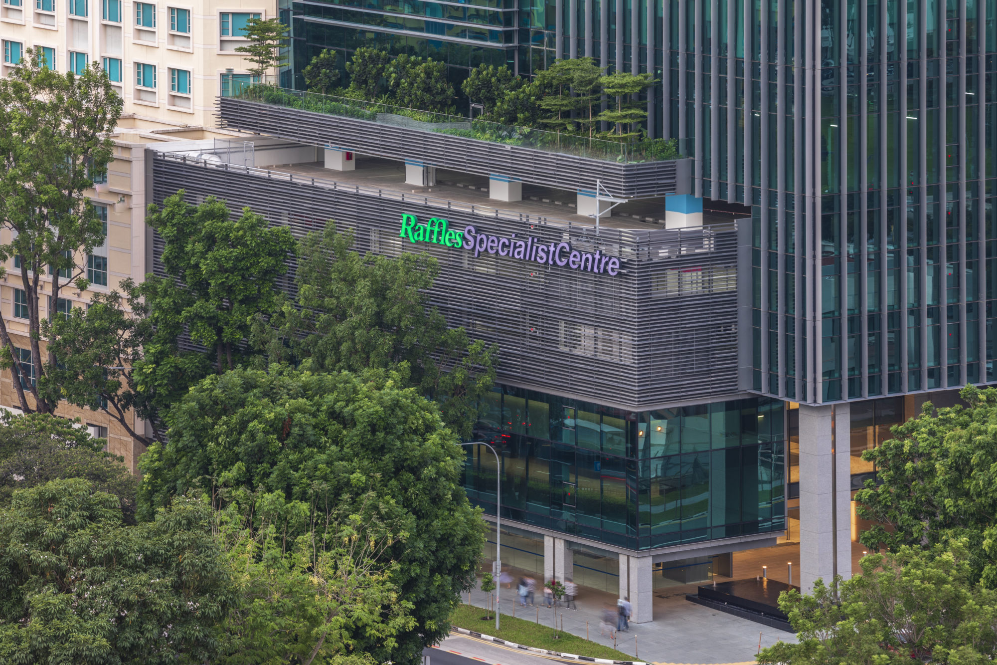 新加坡莱佛士医院图片